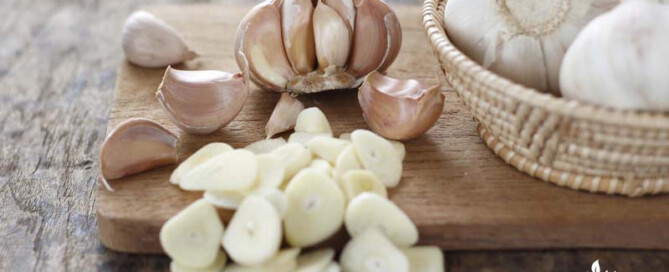 How to kill snails with garlic